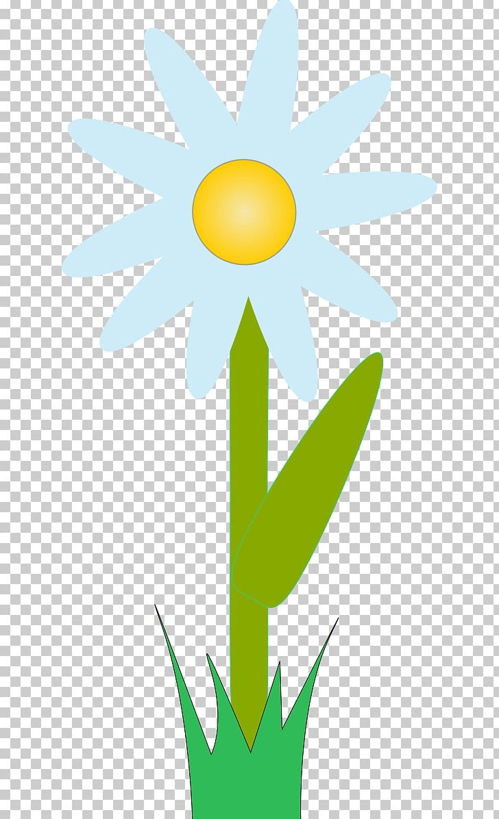 Plant Stem Flower PNG, Clipart, Aloe Vera, Artwork, Color, Drawing, Flora Free PNG Download