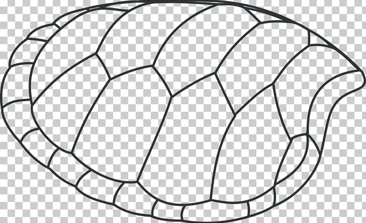 Turtle Shell Sea Turtle Coloring Book Seashell PNG, Clipart, Angle, Animal, Animals, Area, Ball Free PNG Download