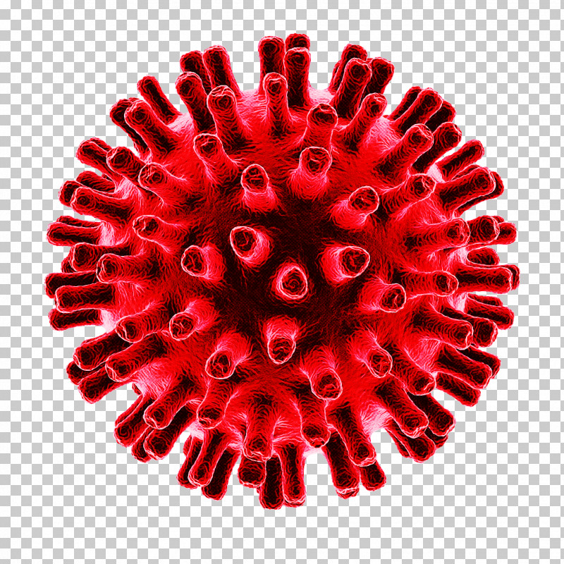 2019–20 Coronavirus Pandemic Virus Coronavirus Disease 2019 Coronavirus Pandemic PNG, Clipart, Cause, Coronavirus, Coronavirus Disease 2019, Flu, Health Free PNG Download