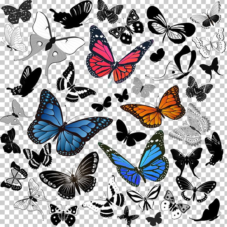 Butterfly PNG, Clipart, Black, Booking, Brush Footed Butterfly, Butterfly, Collection Free PNG Download