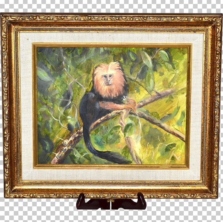 Golden Lion Tamarin Still Life Frames Oil Painting PNG, Clipart, 1890s, 1920s, Animal, Art, Artwork Free PNG Download