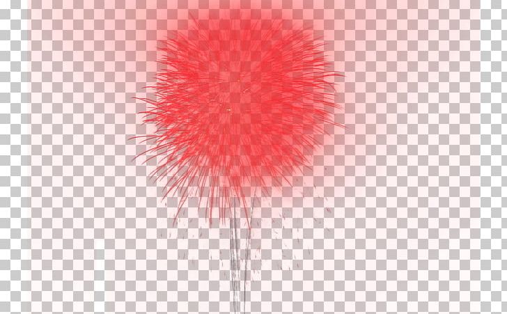 Petal Fur Computer PNG, Clipart, Cartoon Fireworks, Computer, Computer Wallpaper, Festival, Firework Free PNG Download