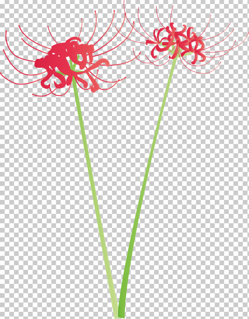 Hurricane Lily Flower PNG, Clipart, Cut Flowers, Flower, Hurricane Lily, Pedicel, Plant Free PNG Download