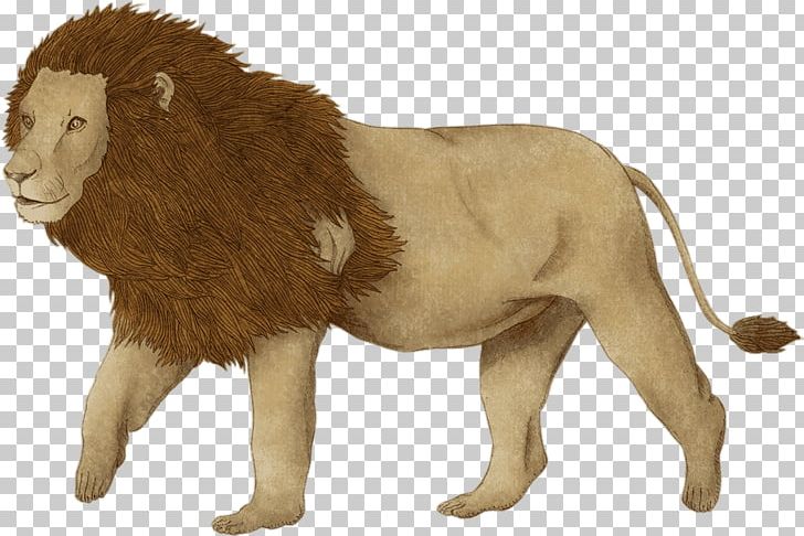 Big Cat Fur Terrestrial Animal Wildlife PNG, Clipart, Animal, Animal Figure, Animals, Big Cat, Big Cats Free PNG Download