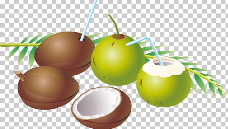 Coconut Water Fruit PNG, Clipart, Adobe Illustrator, Apple, Apple Fruit, Coconut, Coconut Tree Free PNG Download