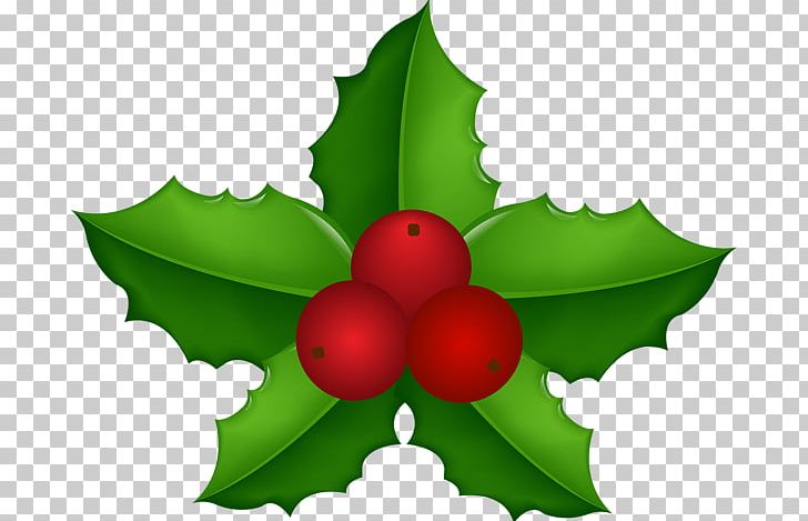 Photography PNG, Clipart, Aquifoliaceae, Aquifoliales, Art, Christmas, Christmas Holly Free PNG Download