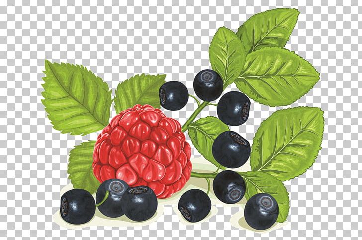 Raspberry Blueberry Bilberry PNG, Clipart, Auglis, Berry, Bilberry, Blackberry, Blueberry Free PNG Download