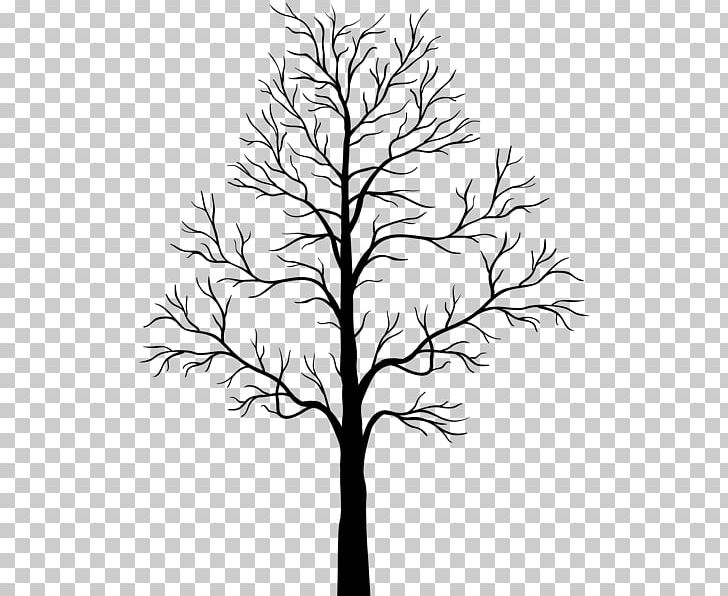 Tree Branch Silhouette PNG, Clipart, Arecaceae, Art, Artwork, Black And White, Branch Free PNG Download