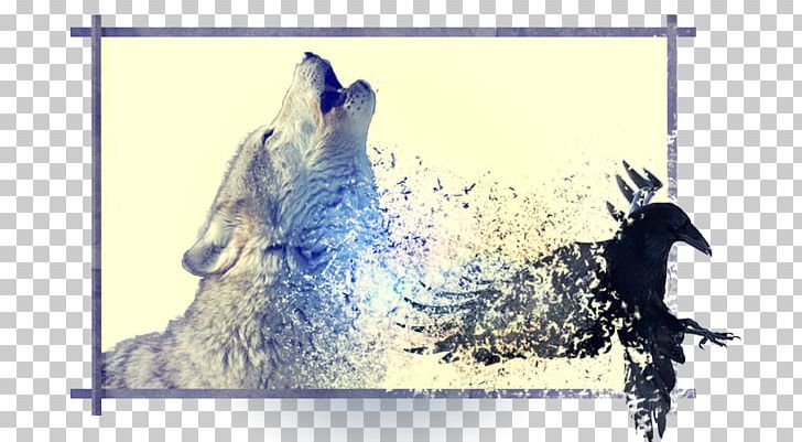 Wolves Hardcover Book Advertising PNG, Clipart, Advertising, Art, Book, Chipote Et Papote, Fauna Free PNG Download