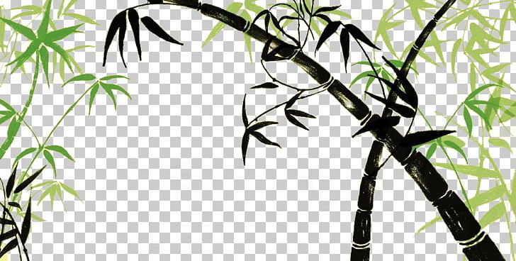 Zongzi Bamboo Drawing PNG, Clipart, Animation, Art, Bamboe, Bamboo Material, Bamboo Sketch Free PNG Download