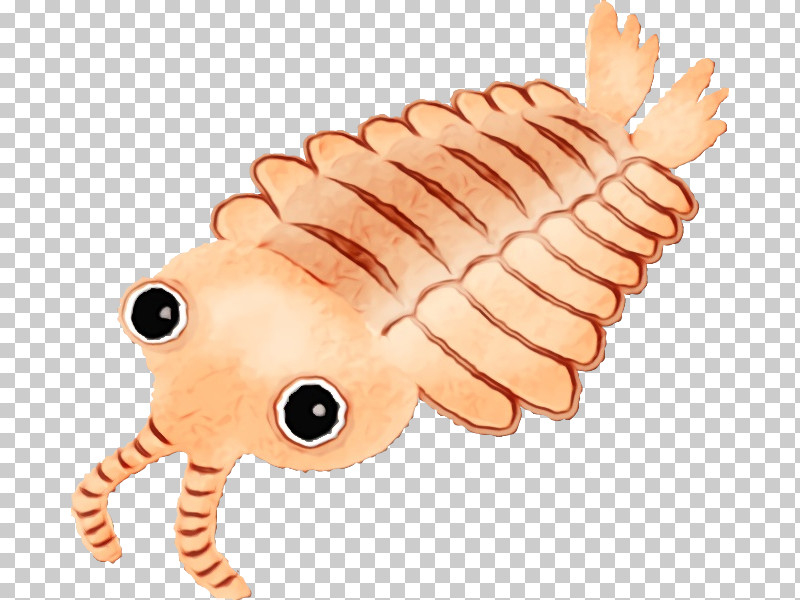 Animal Figure Insect Caterpillar Centipede PNG, Clipart, Animal Figure, Caterpillar, Centipede, Insect, Paint Free PNG Download