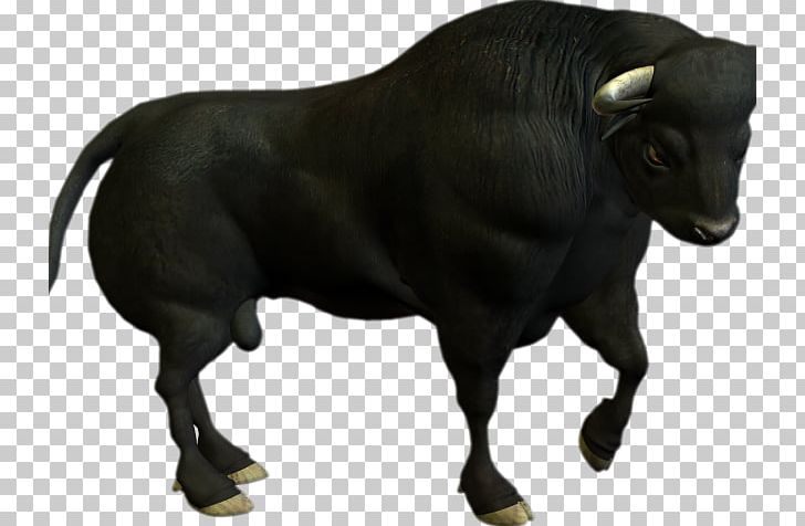 Angus Cattle Goat Ox Bull PNG, Clipart, Angus Cattle, Animals, Bovini, Bull, Cattle Free PNG Download