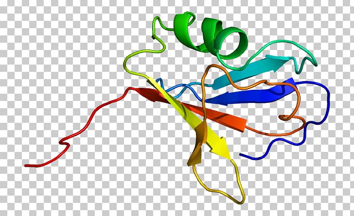 ARAF Protein Kinase Serine PNG, Clipart, Araf, Area, Artwork, Common, Craf Free PNG Download