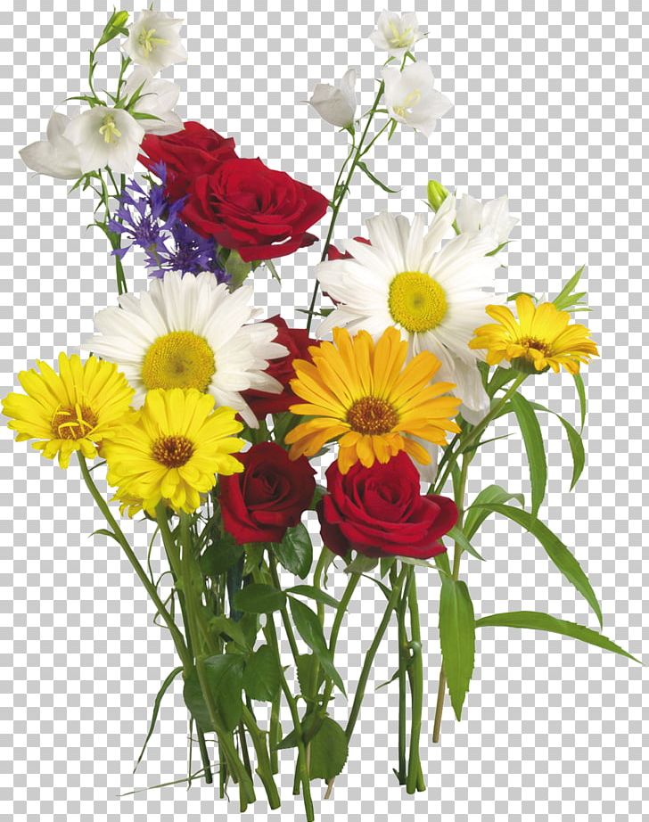 Flower Of The Fields Flower Bouquet Garden Roses Transvaal Daisy PNG, Clipart, Annual Plant, Blume, Camomile, Chamomile, Chrysanths Free PNG Download