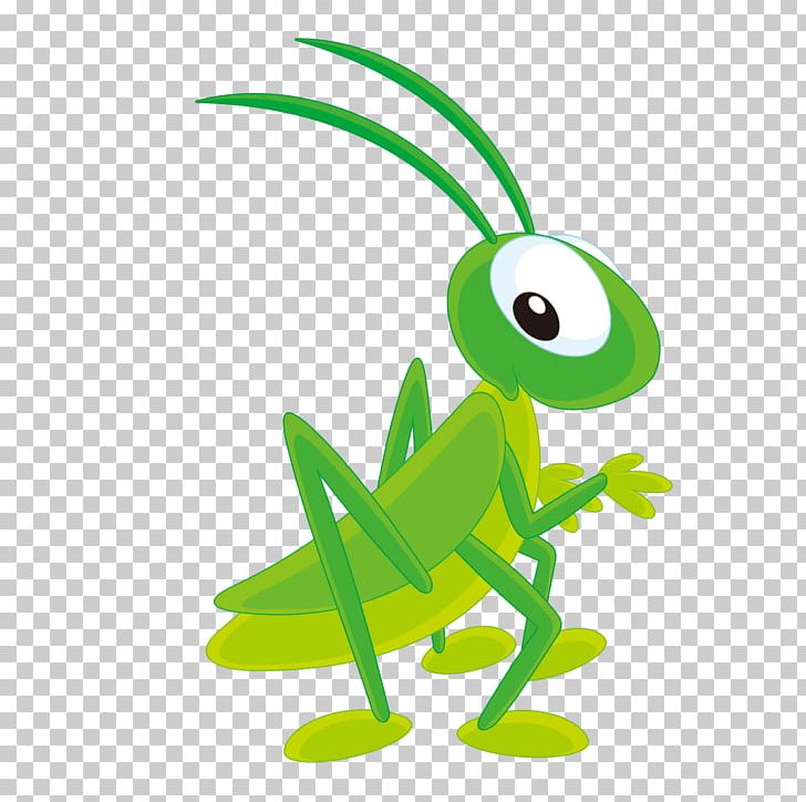 Insect PNG, Clipart, Amphibian, Animal Figure, Animals, Artwork, Clip Art Free PNG Download