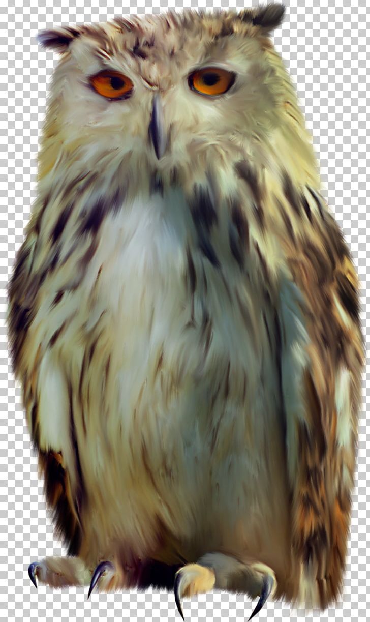 Owl Bird PNG, Clipart, Animals, Archive File, Beak, Bird, Bird Of Prey Free PNG Download