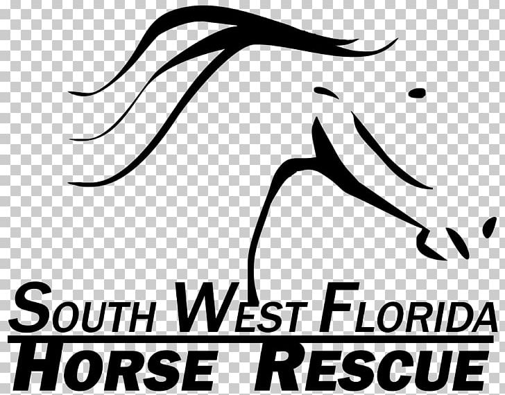 South West Florida Horse Rescue PNG, Clipart, Animals, Area, Art, Black, Business Cards Free PNG Download