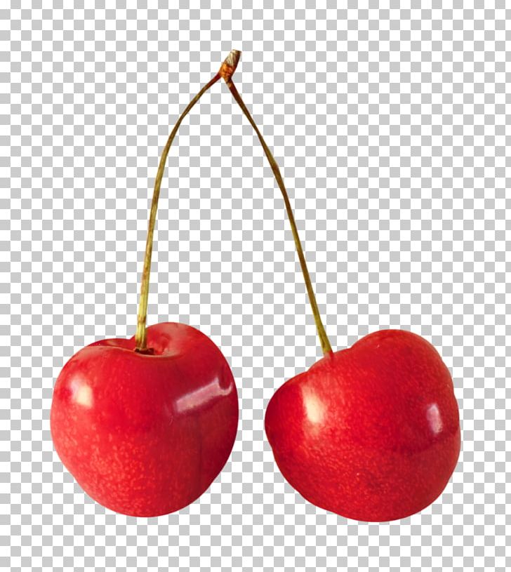 Cherry Fruit Cerasus Berry PNG, Clipart, Accessory Fruit, Almond, Apple, Cerasus, Cherries Free PNG Download