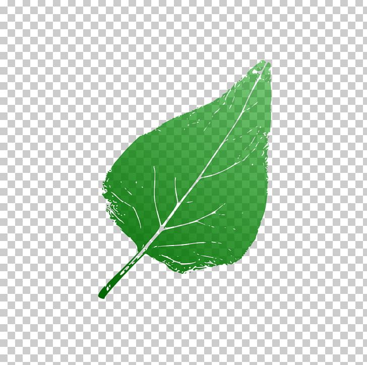 Leaf PNG, Clipart, Distro, Grass, Green, Leaf, Plant Free PNG Download