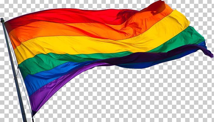 LGBT Flag PNG, Clipart, Flags, Free, Lgbt Flag, Miscellaneous, Png Free PNG Download