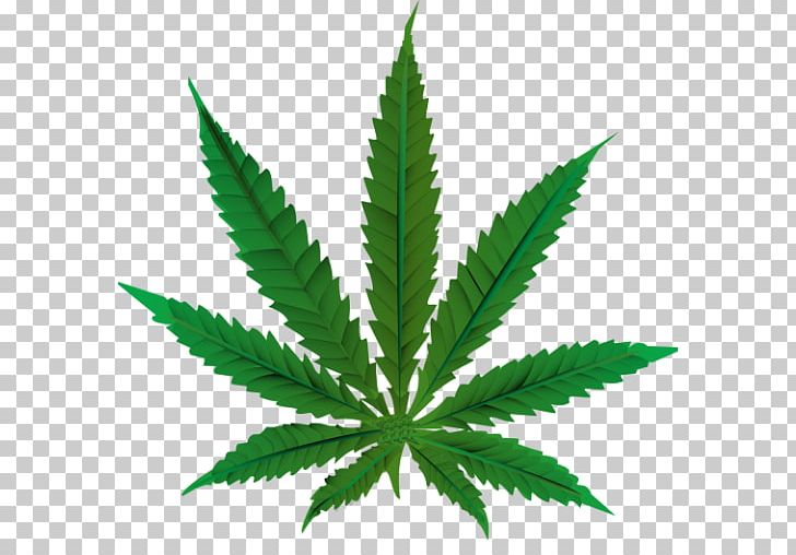 Medical Cannabis Cannabis Smoking Recreational Drug Use PNG, Clipart, Addiction, Cannabis, Cannabis Smoking, Dispensary, Drug Free PNG Download