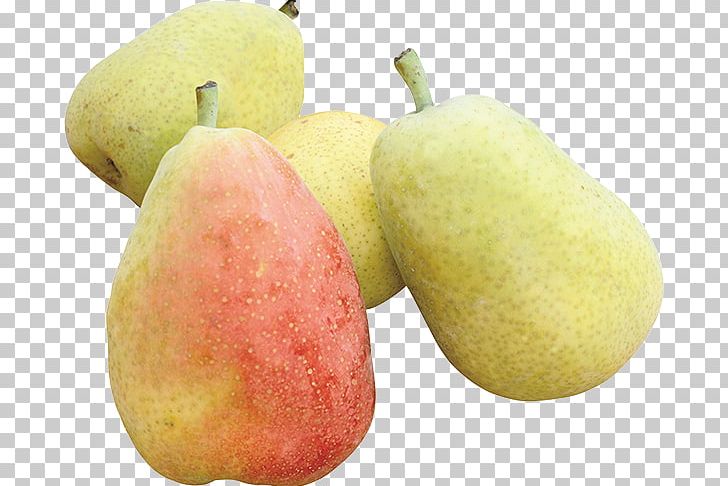 Pear Fruit PNG, Clipart, Apple, Diet Food, Digital Image, Food, Fruit Free PNG Download