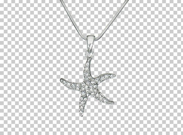 Starfish Charms & Pendants PNG, Clipart, Animals, Beach, Body Jewellery, Body Jewelry, Charms Pendants Free PNG Download