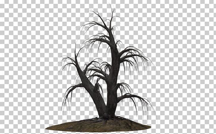 Drawing Tree PNG, Clipart, Arecales, Black And White, Branch, Dead Tree, Deviantart Free PNG Download
