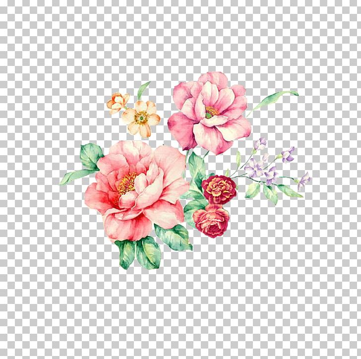 Rosa Chinensis Flower Plant Floral Design Pattern PNG, Clipart, Artificial Flower, Balloon Car, Blossom, Cartoon Character, Cartoon Couple Free PNG Download