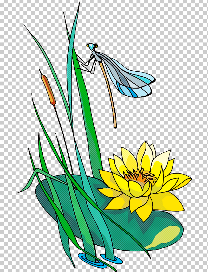 Plant Flower Yellow Grass Coloring Book PNG, Clipart, Aquatic Plant, Coloring Book, Flower, Grass, Membranewinged Insect Free PNG Download