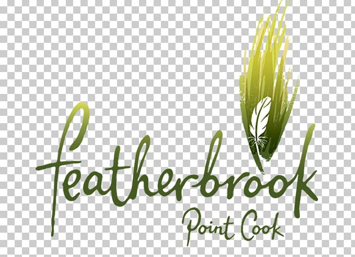 Central Equity Featherbrook PNG, Clipart, Brand, College, Commodity, Computer Wallpaper, Family Free PNG Download