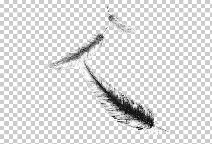 Feather Drawing Maximum Ride Sketch PNG, Clipart, Animals, Art, Black And White, Caroline, Children Free PNG Download