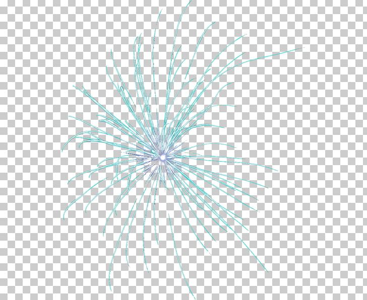 Fireworks Desktop PNG, Clipart, Adobe Fireworks, Anne, Circle, Computer Graphics, Computer Icons Free PNG Download