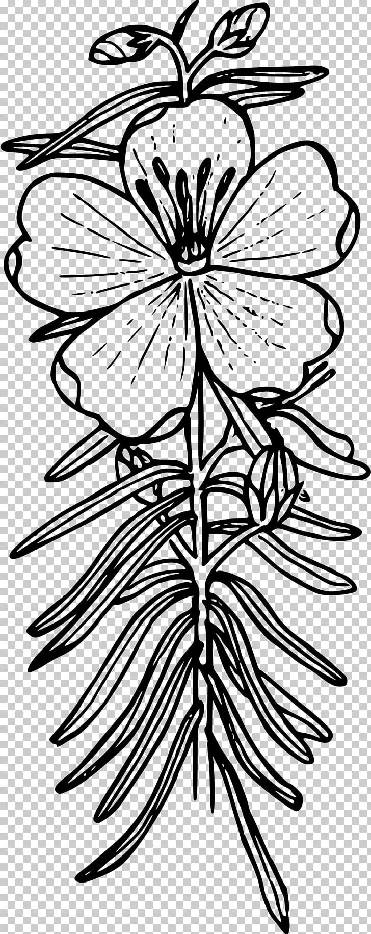 Drawing Line Art Coloring Book PNG, Clipart, Black, Black And White, Branch, Color, Color Farm Free PNG Download