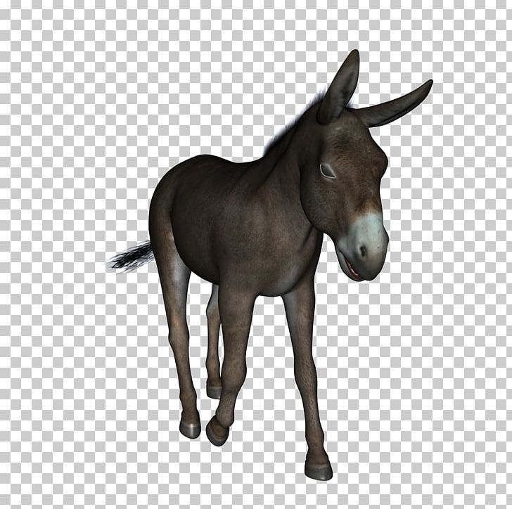 Mule Donkey Jennet PNG, Clipart, Animal, Animals, Bit, Bridle, Colt Free PNG Download