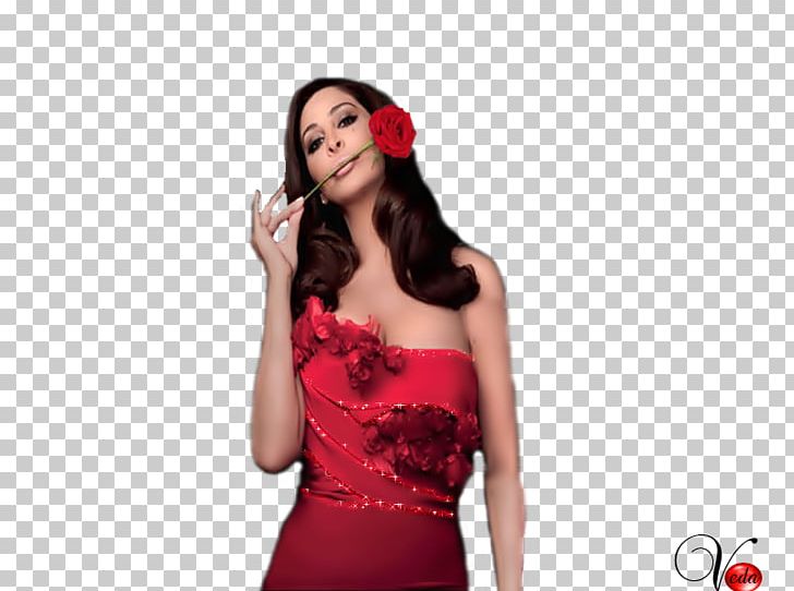 Cocktail Dress Photo Shoot Microphone Shoulder PNG, Clipart, Audio, Audio Equipment, Bayan, Brown Hair, Cocktail Free PNG Download