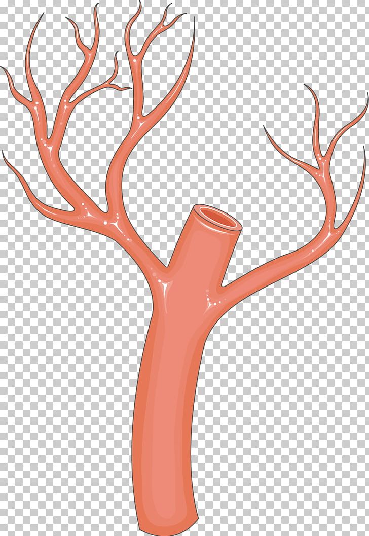 Finger Antler PNG, Clipart, Antler, Art, Branch, Branching, Cooky Free PNG Download