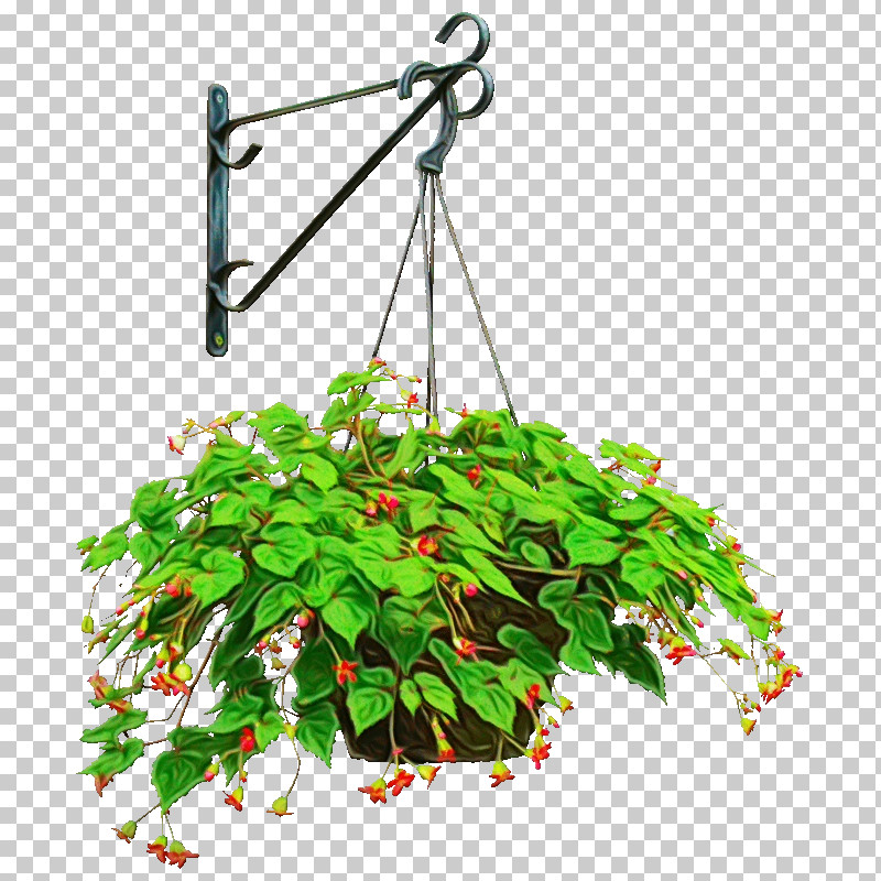 Flower Plant Leaf Pole Houseplant PNG, Clipart, Flower, Flowerpot, Houseplant, Leaf, Paint Free PNG Download