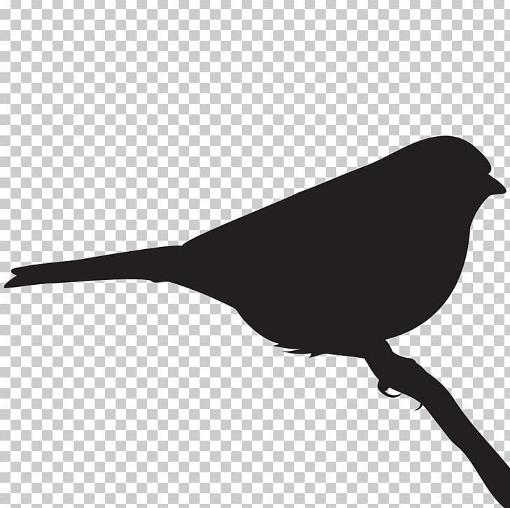 Bird Black And White Monochrome Photography Beak PNG, Clipart, American Sparrows, Animals, Beak, Bird, Black Free PNG Download