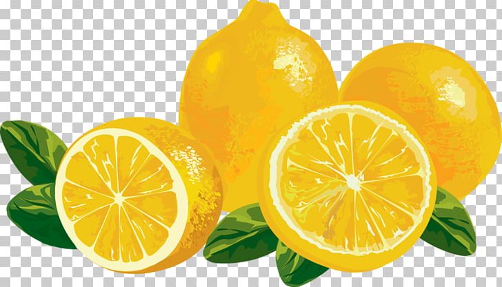 Lemonade PNG, Clipart, Bitter Orange, Calamondin, Citrus, Desktop Wallpaper, Food Free PNG Download