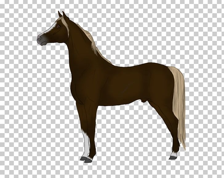Mane Foal Stallion Pony Mare PNG, Clipart, Akhalteke, Bridle, Colt, Cream Locus, Equestrian Free PNG Download