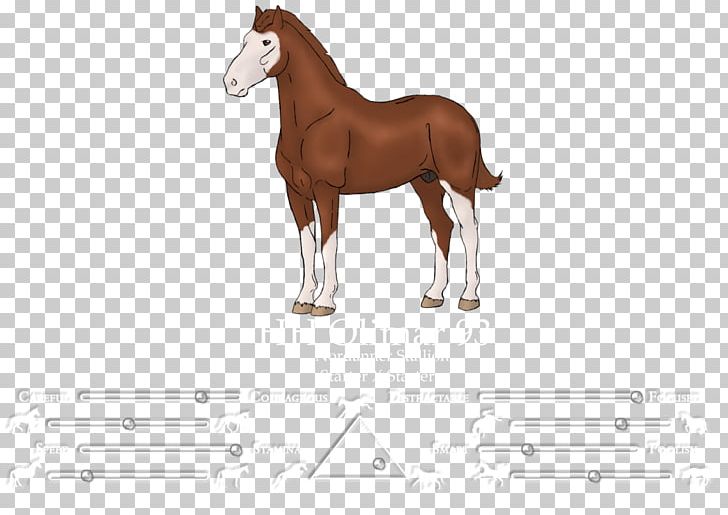 Mustang Foal Stallion Colt Mare PNG, Clipart, Animal Figure, Bridle, Colt, Foal, Halter Free PNG Download