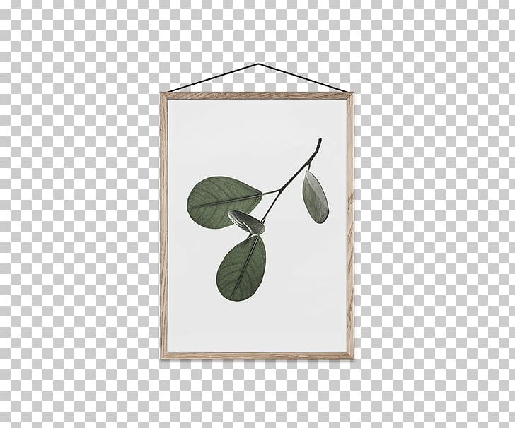 Paper Collective MOEBE Leaf Norm Architects ApS PNG, Clipart, Botany, Copenhagen, Decorative Arts, Floating Paper, Glass Free PNG Download