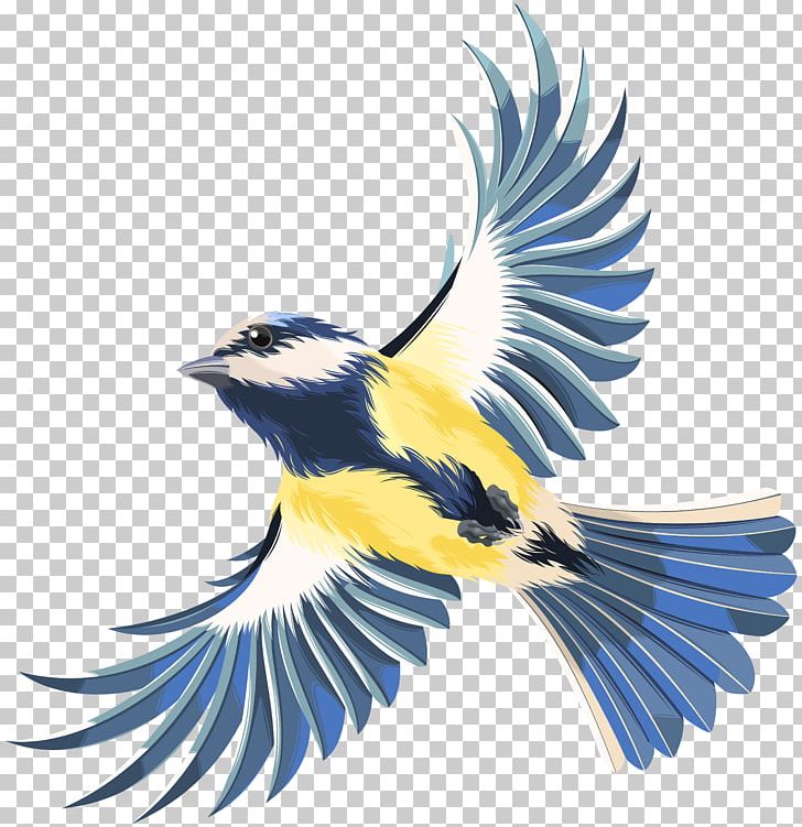 Bird Flight Bird Flight PNG, Clipart, Animation, Art, Beak, Bird, Bird  Flight Free PNG Download
