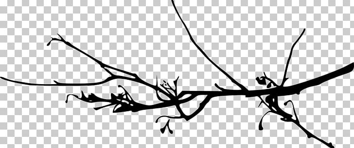 Branch Tree Twig PNG, Clipart, Antler, Black And White, Branch, Flora, Flower Free PNG Download