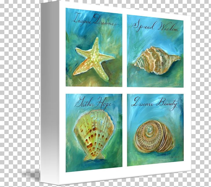 Seashell Marine Biology Fauna PNG, Clipart, Animals, Biology, Fauna, Invertebrate, Marine Biology Free PNG Download