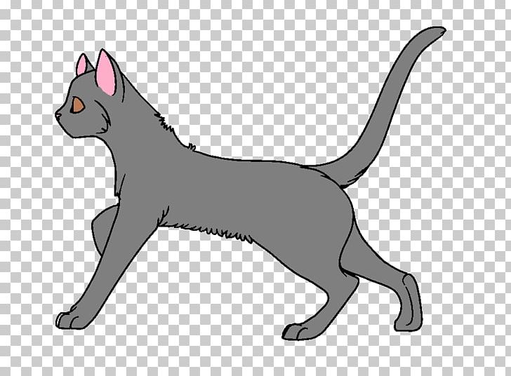 Whiskers Kitten Dog Breed Cat PNG, Clipart, Animals, Black, Black M, Breed, Carnivoran Free PNG Download