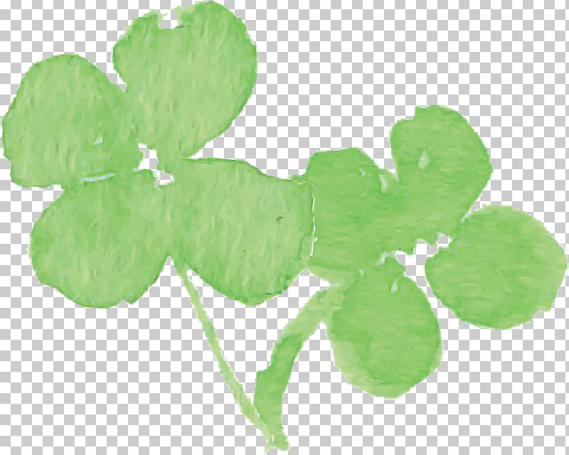 Shamrock PNG, Clipart, Annual Plant, Clover, Flower, Green, Herbaceous Plant Free PNG Download