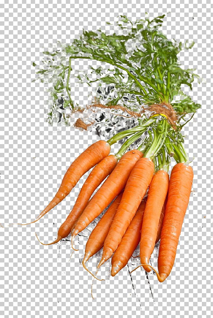 Baby Carrot Vegetable Radish Vegetarian Cuisine PNG, Clipart, Baby Carrot, Bunch Of Carrots, Carrot, Carrot Cartoon, Carrot Juice Free PNG Download