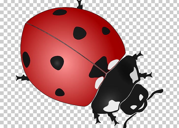 Beetle Ladybird Drawing Black And White PNG, Clipart, Beetle, Black And White, Cartoon, Cartoon Ladybug Cliparts, Clip Art Free PNG Download